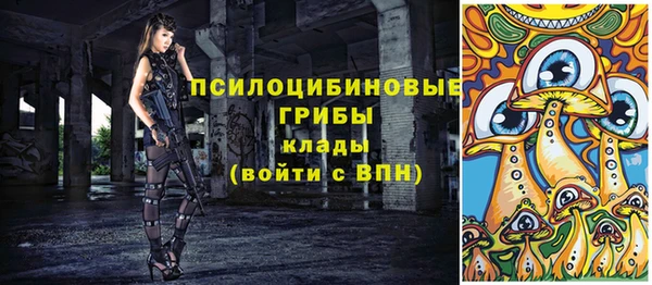 амф Белокуриха