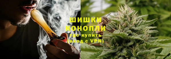 амф Белокуриха
