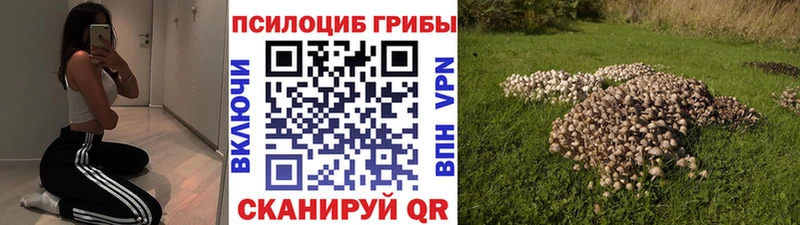 где найти наркотики  мега ссылка  Псилоцибиновые грибы GOLDEN TEACHER  Ворсма 